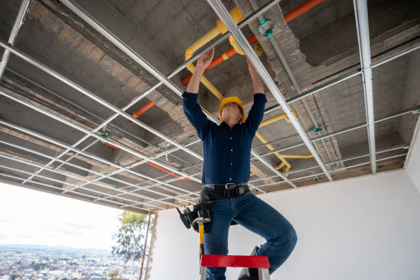Best Clogged Drain Plumber  in San Benito, TX
