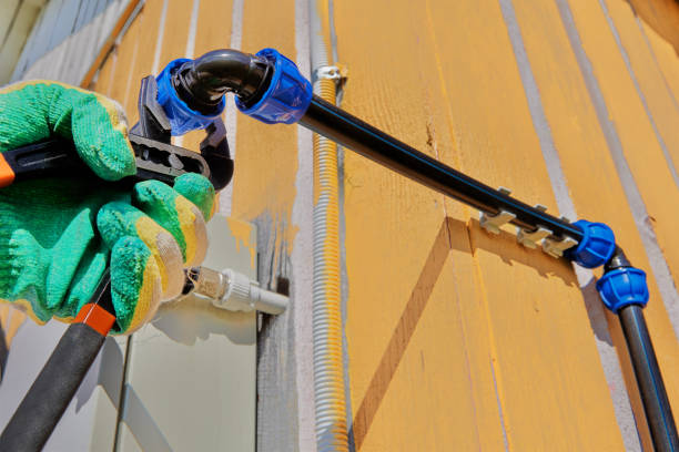 Best Same-Day Plumbing Service  in San Benito, TX